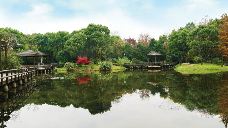 庭院景观设计施工哪家公司好
