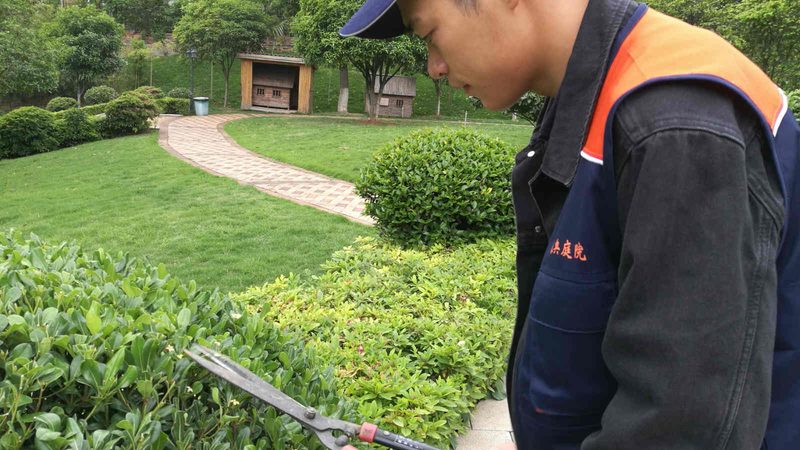 打造自然与艺术的融合：假山喷泉流水系统的制作流程**