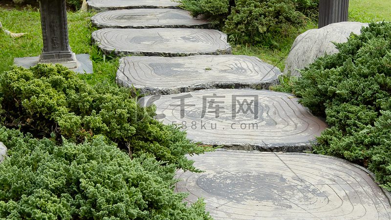 苗木种植技术视频教程：掌握关键步骤，提升成活率**