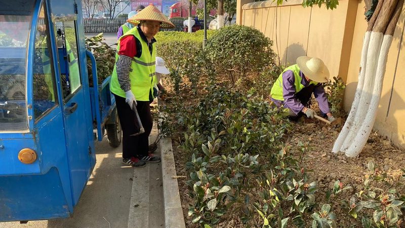 屋顶花园设计公司收费标准揭秘：如何避免陷入误区