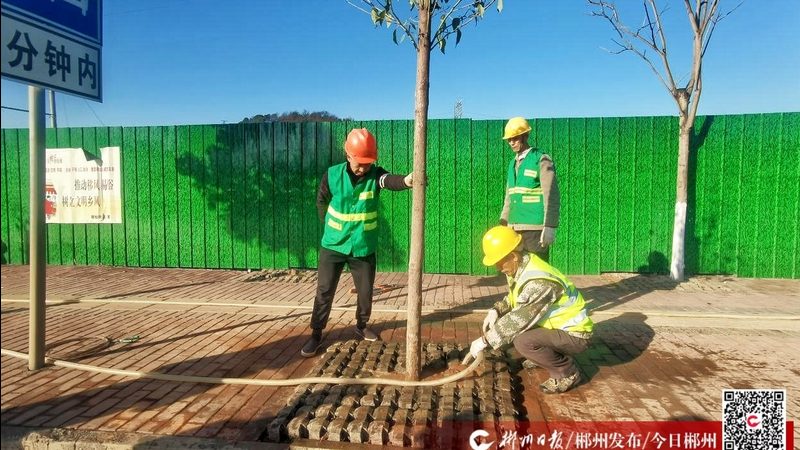 园林工程报价与招标文件匹配：关键要素与注意事项