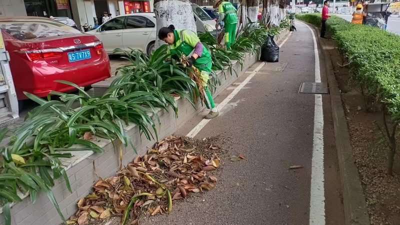 市政绿化与园林绿化对草坪的要求区别