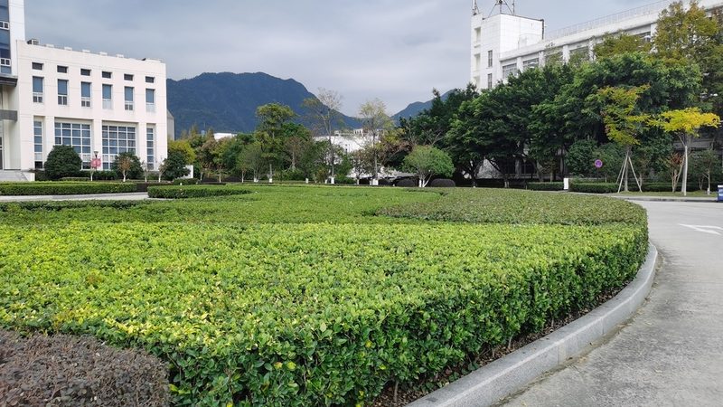 厂区道路绿化养护，这笔账到底该怎么算