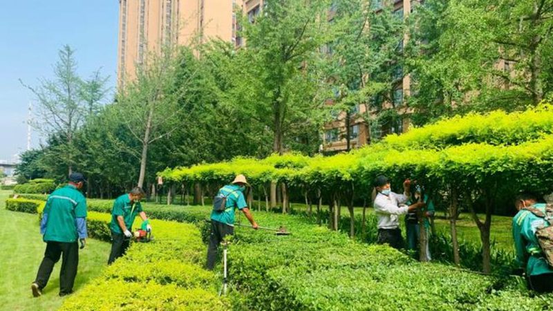 山地苗木加盟，先看清这四道坎