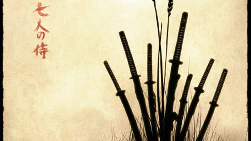 广州绿植租赁：如何选择合适的方案与报价**